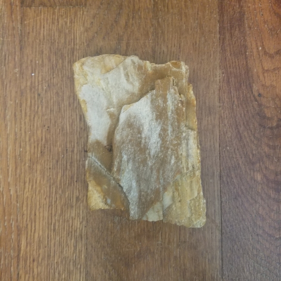 Petrified Wood Display Specimen Mitchell County Nc. 1lb 12oz. - Picture 9 of 10